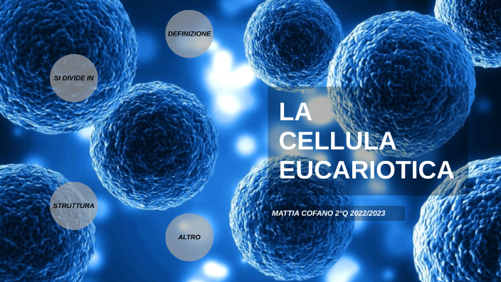 Cellula Eucariotica by mattia cofano on Prezi