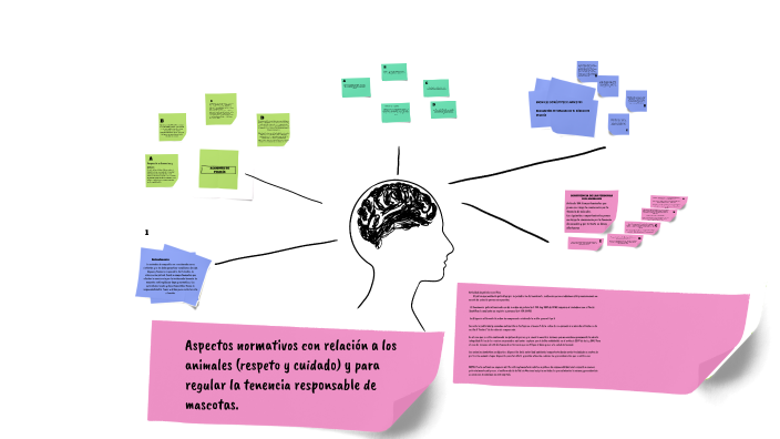 Aspectos normativos con relación a los animales (respeto y cuidado) y ...