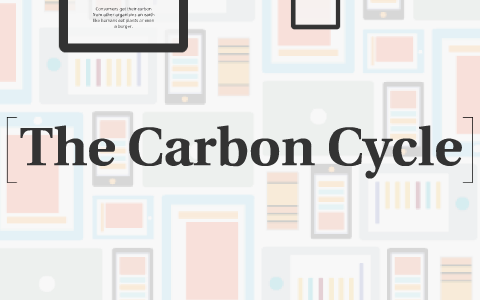 The Carbon Cycle by Liam Goff on Prezi