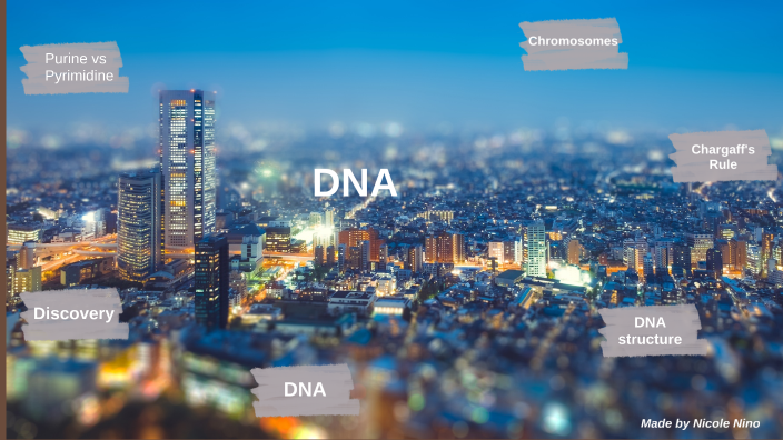 DNA Structure by Nicole Nino on Prezi