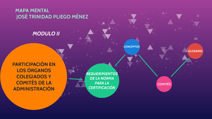 MAPA MENTAL MODULO II by JOSE TRINIDAD PLIEGO