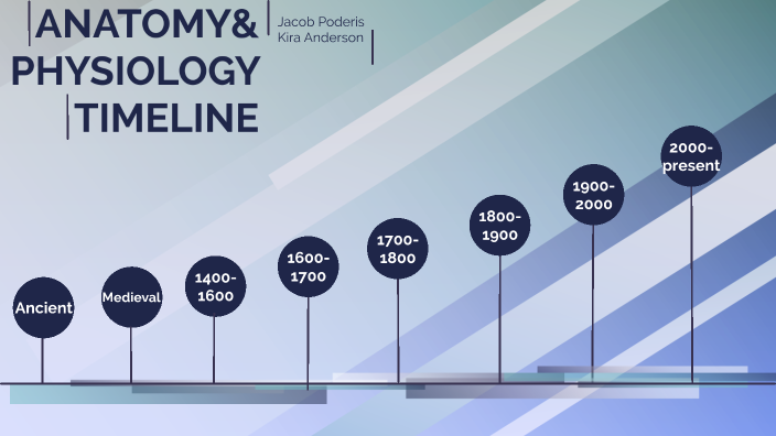 Timeline anatomy by Jacob Poderis on Prezi