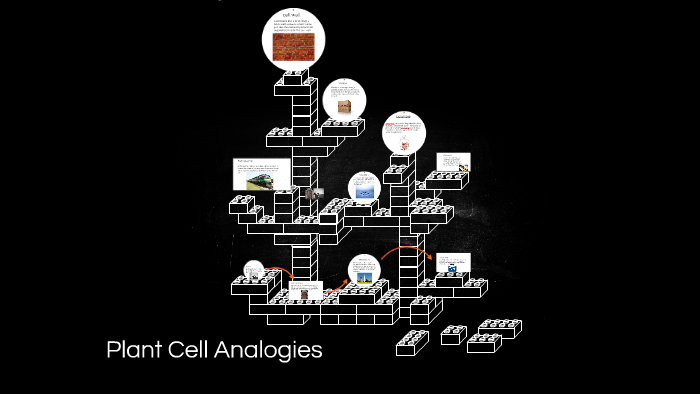 plant cell analogies by isaiah teixeira on Prezi