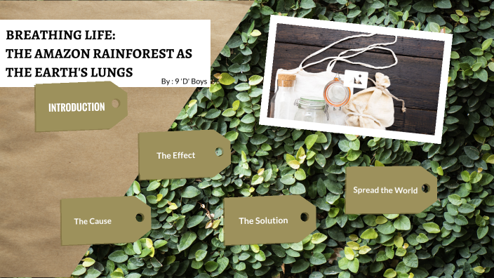 Breathing Life The Amazon Rainforest As The Earth S Lungs By Pradeep