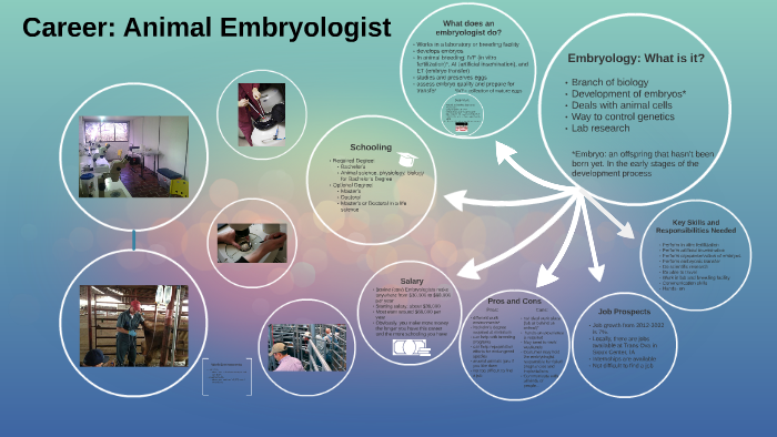 Career: Embryologist by Morgan White