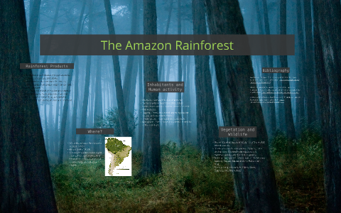 The Amazon Rainforest by Monika Orlowski on Prezi