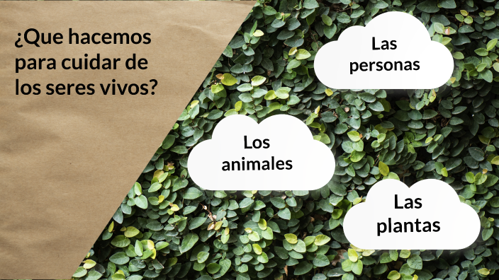 Cuidado de los seres vivos by Blanca Norys Díaz García on Prezi