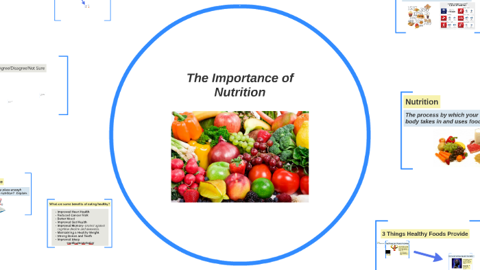 The Importance of Nutrition by Bryan Geurts on Prezi