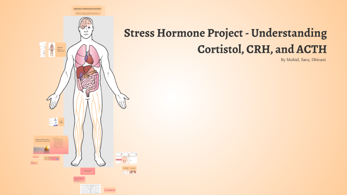 Understanding Cortisol, CRH, and ACTH: Hormonal Responses to Stress by ...
