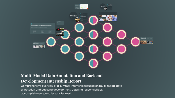 Multi-Modal Data Annotation and Backend Development Internship Report ...