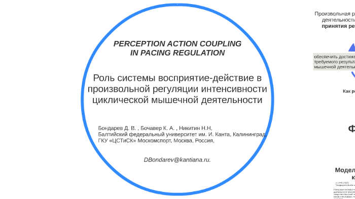 PERCEPTION ACTION COUPLING IN PACING REGULATION by Dima Bondarev on Prezi