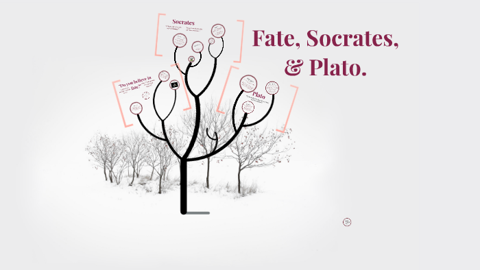 Fate Socrates And Plato By