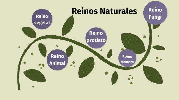 LINEA DEL TIEMPO clasificación de los seres vivos by Valentina Casallas ...