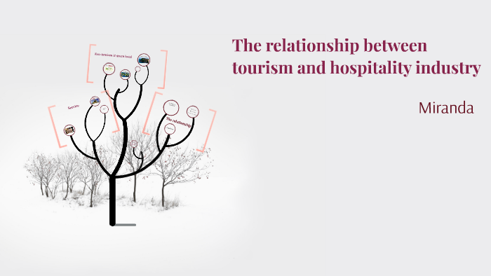 differentiate tourism and hospitality from international trade