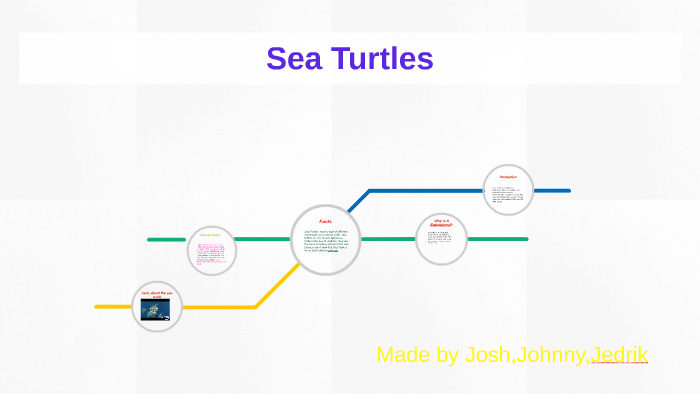 Sea Turtles by joshue jedrik on Prezi