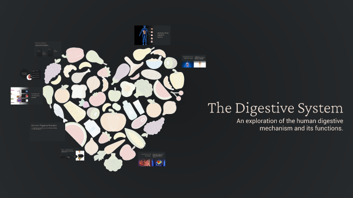 The Digestive System by Charlotte Davie on Prezi