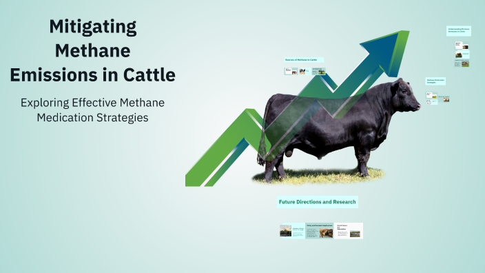 Mitigating Methane Emissions in Cattle by Gregory Martin on Prezi