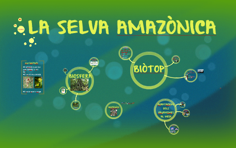 LA SELVA AMAZÒNICA by Mar Insa Castellon on Prezi