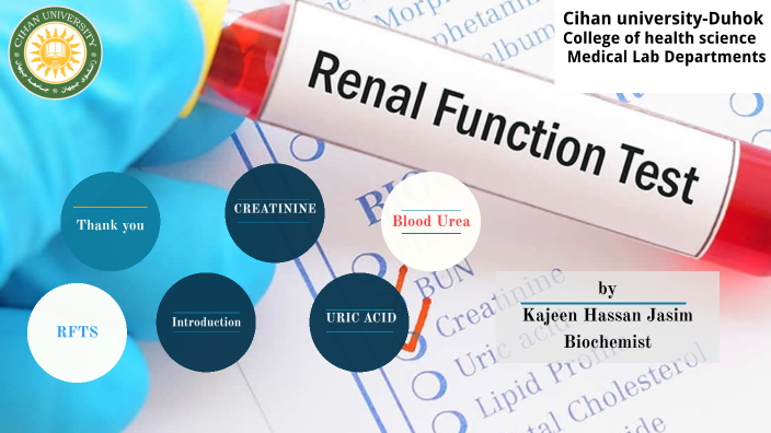 assignment on renal function test