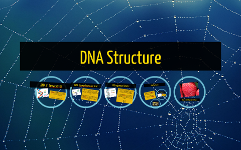 DNA Structure by Karla Martinez on Prezi
