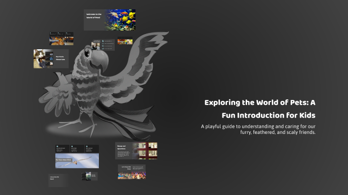 Pet Video Introduction Exploring the World of Pets: A Fun Introduction for Kids by Fátima Dias ...
