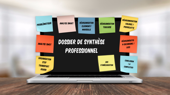 Dossier de synthèse professionnel by Brice Bardin on Prezi