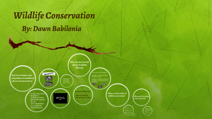 conservation of wildlife importance