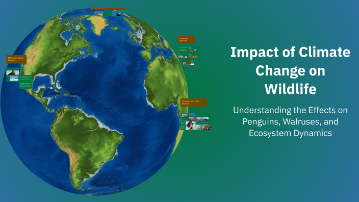 Impact of Climate Change on Wildlife by Naomi Debesay on Prezi