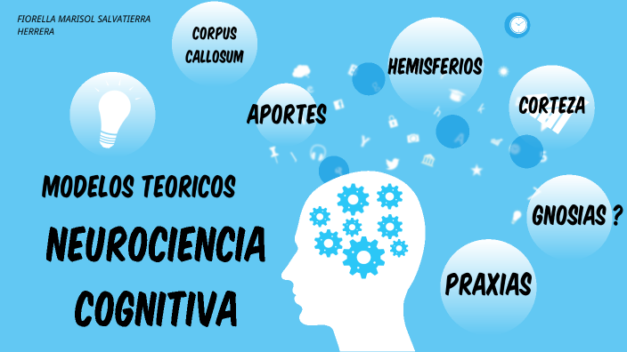 modelos teóricos y neurociencia cognitiva by Fiorella Salvatierra on Prezi