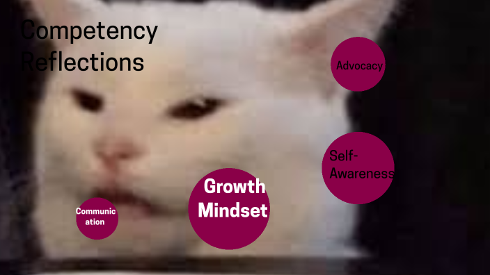 Competency Reflections Competency Reflections by jeff antunez on Prezi