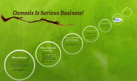 Osmosis Is Serious Business Rifat Kabir