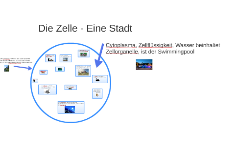 Pflanzenzellstadt Analogie