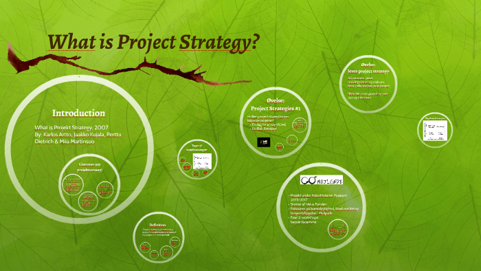 What Is Project Strategy In Project Management