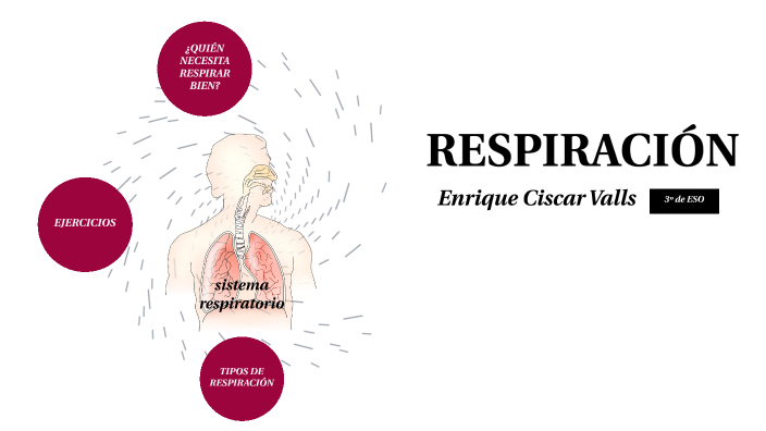 respiración by enrique ciscar valls on Prezi