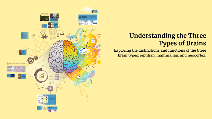 Understanding the Three Types of Brains by Samia Charaf on Prezi