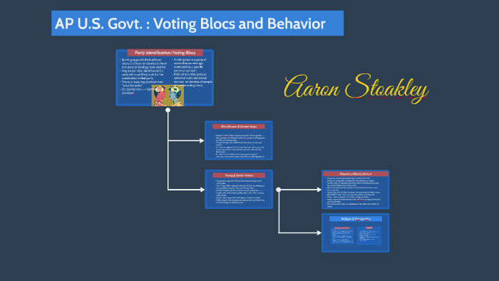 voting blocs and behaviors definition ap gov