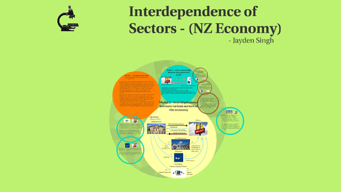 Interdependence Of Sectors In NZ Economy By Jayden Singh On Prezi