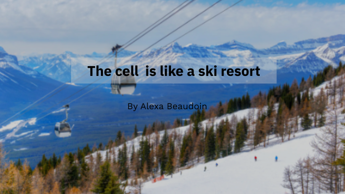 The cell is like a ski resort by Alexa Beaudoin on Prezi