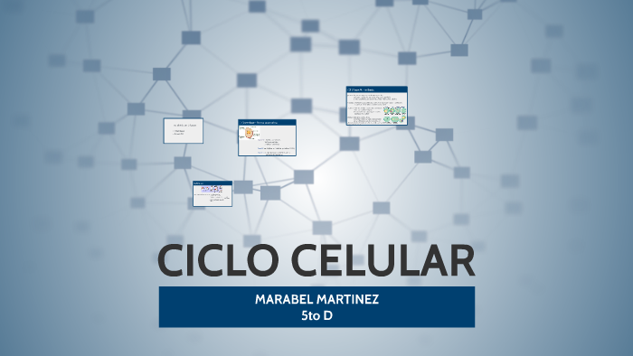 CICLO CELULAR by Marabel Martinez on Prezi