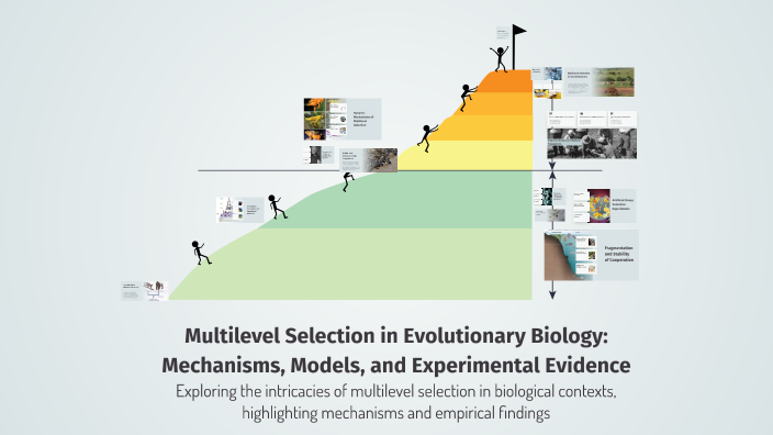 Selection In Evolution Multilevel Selection in Evolutionary Biology: Mechanisms, Models, and ...