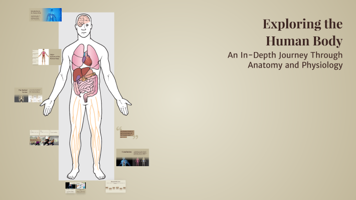 Exploring the Human Body by Rafef Solimi on Prezi