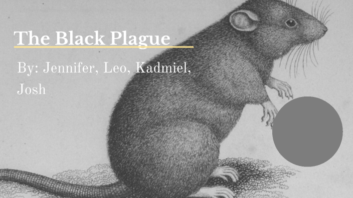 the black plague research paper