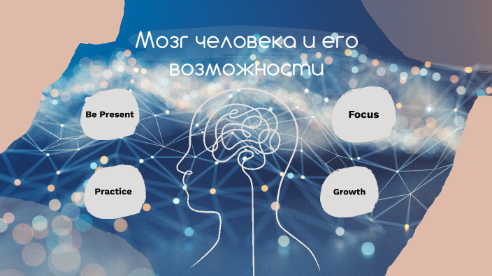 Мозг человека и его возможности by Любовь Гаврилюк on Prezi