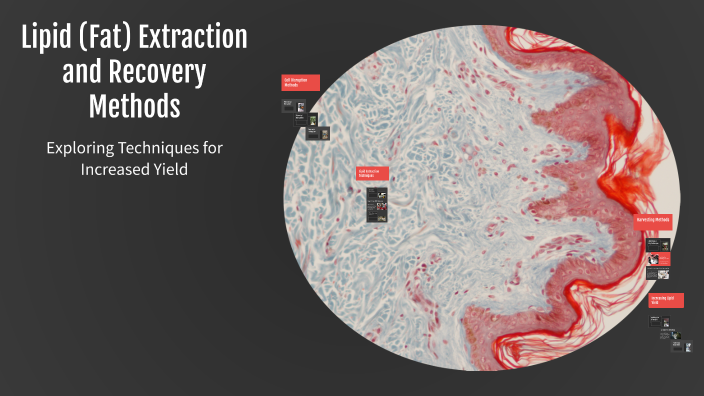 Lipid (Fat) Extraction and Recovery Methods by Ömer Demirtaş on Prezi