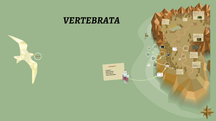 Vertebrata By Novita Islamiati On Prezi
