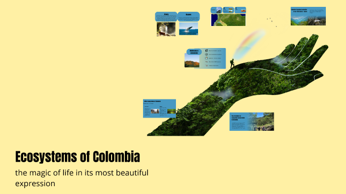 Ecosistemas de Colombia by natali blandon on Prezi