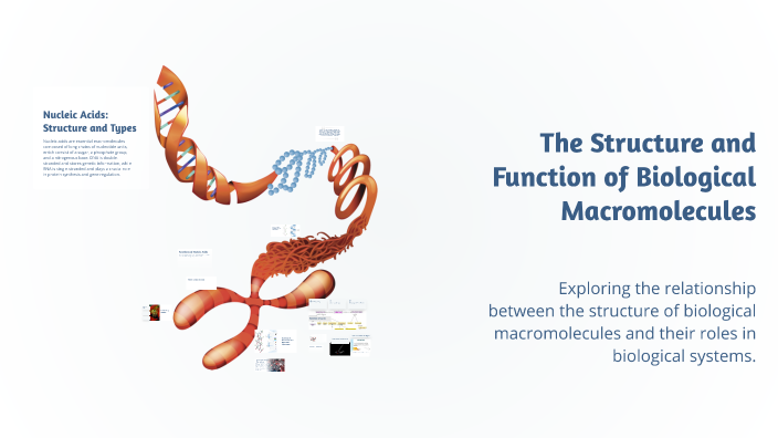The Structure and Function of Biological Macromolecules by Marknel ...