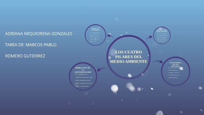 LOS CUATRO PILARES DEL MEDIO AMBIENTE by Marcos Gutierrez on Prezi