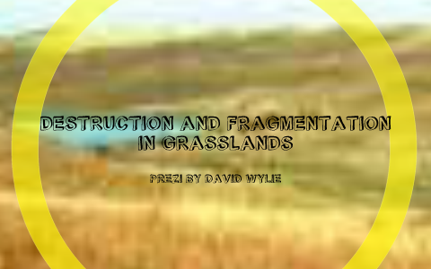 Destruction & Fragmentation of Grasslands by David Wylie on Prezi