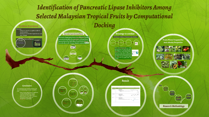 Identification of Pancreatic Lipase Inhibitors Among Selecte by Nur Safinaz